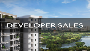 the-lakegarden-residences-developer-sales